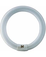Philips Tubes - 22 Watt Circline Fly Killer Tubes Shatterproof - TPX22S