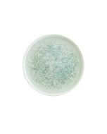 Lunar Ocean Hygge Flat Plate 22cm