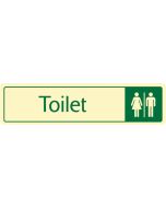 Toilet with symbol. Cream on green. F/M