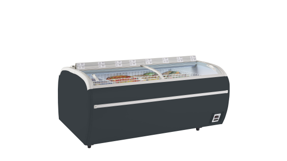 Tefcold DUPLA 2.2DE RAL7016 Supermarket Freezer 251L