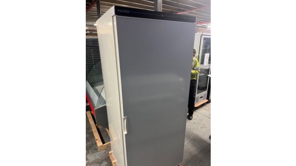 Blizzard D2522BZ40WF40S056 GRADED-02372 LS40 Upright 320L Single Hinged Door Freezer