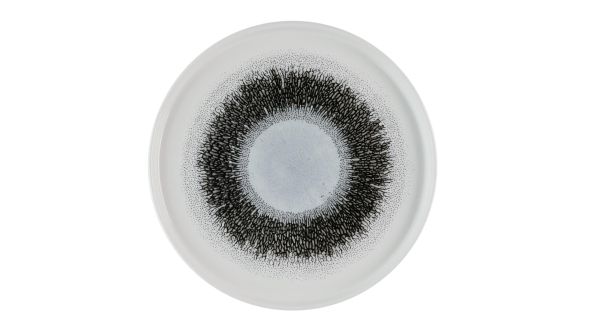 Churchill Studio Prints Fusion Black Walled Plates 260mm (6 Pack) FSBKWP261