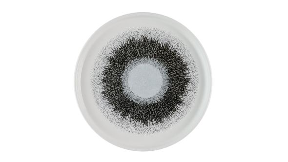 Churchill Studio Prints Fusion Black Walled Plates 210mm (6 Pack) FSBKWP211