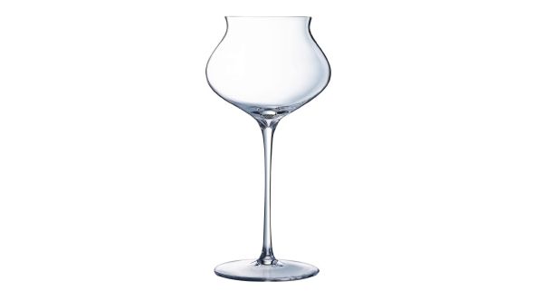 Arcoroc Macaron Fascination Champagne Flutes 300ml (24 Pack) N6386