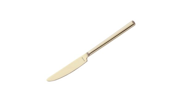 Amefa Metropole Champagne Table Knife (12 Pack) 1170ZVB000305