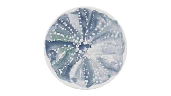 Schönwald Maritime Ocean Breeze Coupe Plates 170mm (12 Pack) 33-00-054