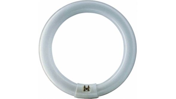 Philips Tubes - 22 Watt Circline Fly Killer Tubes Shatterproof - TPX22S