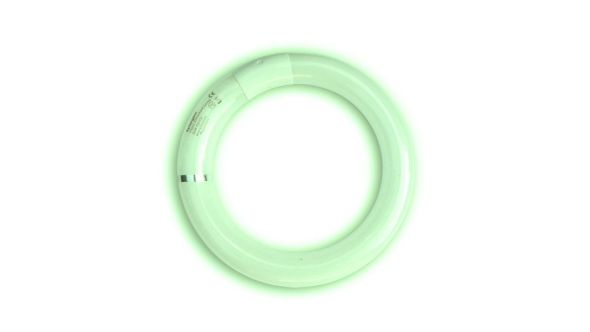 Synergetic TGX22S 22W Shatterproof Circline Fly Killer Tube for SE23, SE22, SE45, SE44 & ZL051