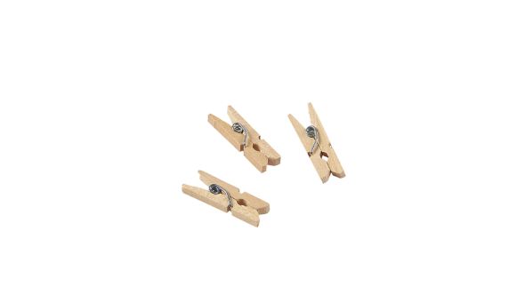 Miniature Wooden Pegs 2.5cm/ 1"  (1000pcs)