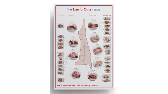 Lamb Prime Cuts Laminated Poster - XMA039