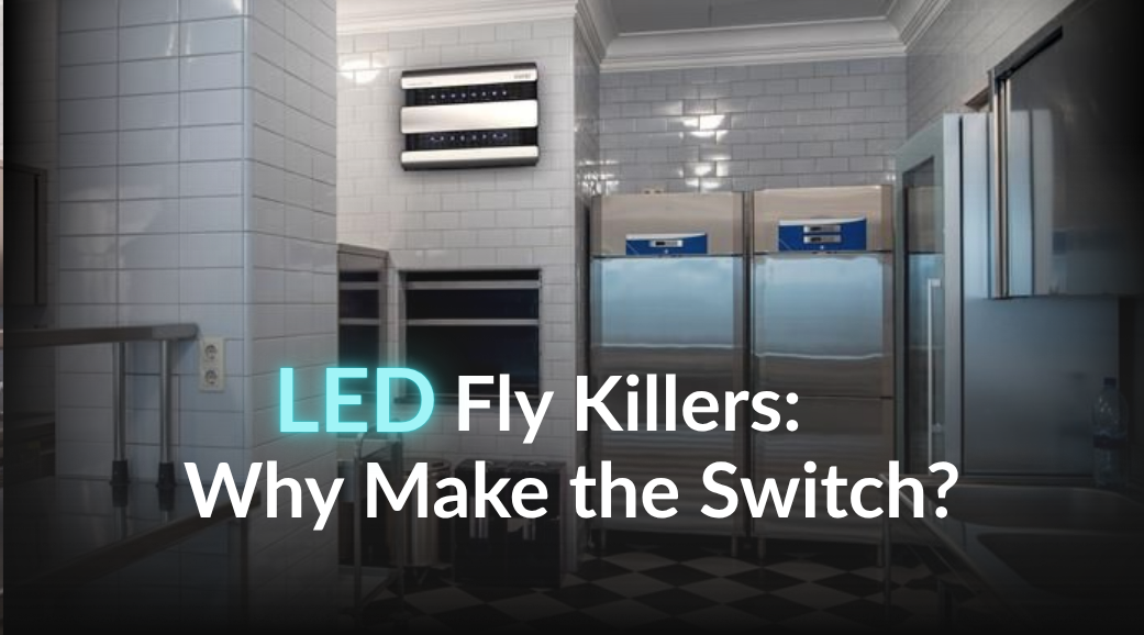LED Fly Killers: Why Make the Switch?